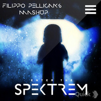 Spektrem - Shine (Filippo Pellicanò Mashup) by Filippo Pellicanò