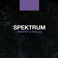Spektrum Mix # 01 Shuray &amp; Walle by Sledge