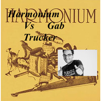 Un musicien parmis tant d'autres by Gab Trucker