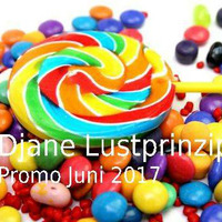 Djane Lustprinzip | Promo Juni 2017 by Lena Lustprinzip