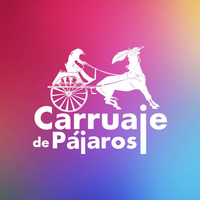 Por qué cantamos by Carruajedepajaros