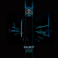 Raubot - Skywalker (SPEC014) by Space-Echoes Records