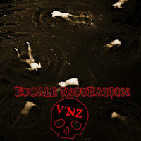 Bucal Incubation by V' NZ