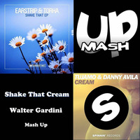 Tujamo & Danny Avila Vs Earstrip & Torha - Shake That Cream (Walter Gardini Mash Up ) by Walter Gardini