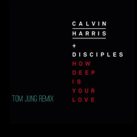 Calvin Harris &amp; Disciples-How Deep is your love (Tom Jung Remix) by Tom Jung