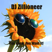 DJ Zillioneer - You Know, You Want It by DJ Zillioneer