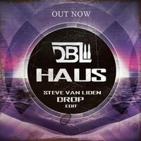 DBL-HAUS (Steve Van Liden Drop Edit)PREMIERE by Steve Van Liden