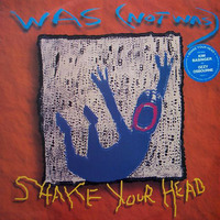 Was Not Was - Shake Your Head by Roberto Freire 02