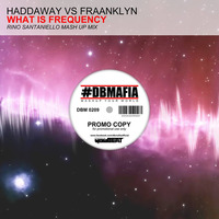 Haddaway vs Fraanklyn - What Is Frequency (Rino Santaniello MashUp) by Rino Santaniello