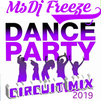 THE CIRCUIT PARTY MIX 2019 by MsDj Freeze
