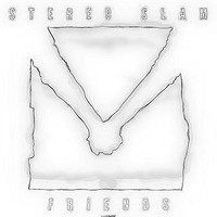 Stereo Slam - Friends