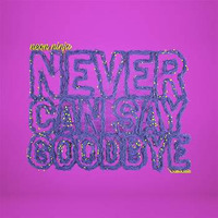 Neon Ninja - Never Can Say Goodbye