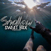 Sweat Box - Shallow