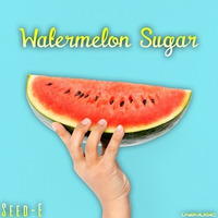Seed E - Watermelon Sugar (Acoustic Mix) by LNG Music