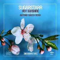Sugarstarr ft. Alexander &quot;Hey Sunshine&quot;  vs  Booker T and The MG's &quot;Melting Pot&quot; by PasSqual