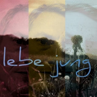 Lebe jung - 03.01.2014 live @ www.dhlc.at by Lebe Jung