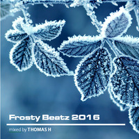 Frosty Beats 2016 - mixed by Thomas H by Thomas Hofmann