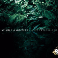 Invisible Landscape - Murder 1