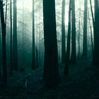 Jack Frost's Into The Woods Mix by Western Flyer