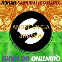 #VilelaFDSunday - R3hab vs. Quintino - Go Hard (André Vilela Mashup) by André Vilela