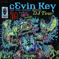Mudwulf opening set- Cevin Key show - Ophelias Denver 11.11.17 by  Dj Mudwulf Mixes