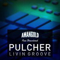 Pulcher - Livin Groove by PULCHER // Amangold