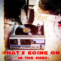 What's Going On (...In The Shed) (BMBX-MIX-04) 2007 by SIR REAL