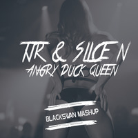 TJR & SLICE N -  Angry duck queen (BlackSwan Mashup) Prewive by Jesper Klindt Schwaner