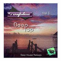 [Deep House] DeepPop Vol 1 (Mixed By DJ Revitalise) (2016) (Remixes) by Revitalise
