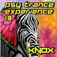 PSY TRANCE EXPERIENCE 13 mixed by KNOX by BRANDON KNOX