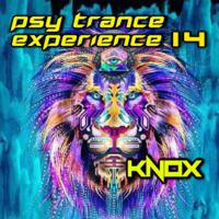 Psytrance Experience 14 mixed by KNOX by BRANDON KNOX