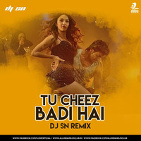 Tu Cheez Badi Hai (Remix) - DJ SN by SNEXO