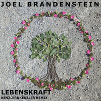 Joel Brandenstein - Lebenskraft (Kenzler &amp; Kenzler Remix) by Kenzler & Kenzler