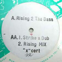 X-Certificate - Rising To The Bass by X-Cert (X-Certificate)