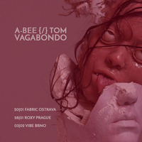 A-Bee &amp; Tom Vagabondo - Deep Connection radio DNA.FM Argentina December 2016 by A-Bee / Tom Vagabondo