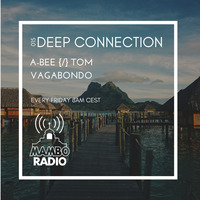 A-Bee {/} Tom Vagabondo - Deep Connection 015 on Cafe Mambo Radio by A-Bee / Tom Vagabondo