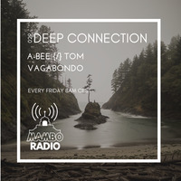 A-Bee {/} Tom vagabondo - Deep Connection 029 on Cafe Mambo Radio Ibiza by A-Bee / Tom Vagabondo