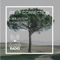 A-Bee {/} Tom Vagabondo - Deep Connection 030 on Cafe Mambo Radio Ibiza by A-Bee / Tom Vagabondo