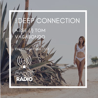 A-Bee {/} Tom Vagabondo - Deep Connection 040 on Cafe Mambo Radio Ibiza by A-Bee / Tom Vagabondo