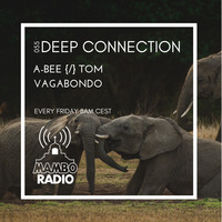 A-Bee {/} Tom Vagabondo - Deep Connection 055 on Cafe Mambo Radio Ibiza by A-Bee / Tom Vagabondo