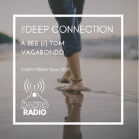 A-Bee {/} Tom Vagabondo - Deep Connection 056 on Cafe Mambo Radio 056 by A-Bee / Tom Vagabondo