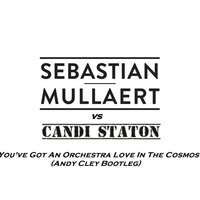Sebastian Mullaert Vs Candi Staton -You've Got An Orchestra Love In The Cosmos (Andy Cley Bootleg) by Andy Cley