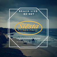 Siesta Beach 03-06-2017 by Andy Cley
