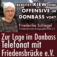 Am Telefon: Friederike Schlegel (Friedensbrücke e.V.) zur Lage im Donbass in der Ostukraine by eingeschenkt.tv