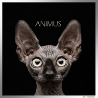 DOTTYmusic#36 - ANIMUS by DAMIR.