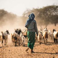 Voices of Descendants of Goat Herders From Bamako by Goya MusicMan