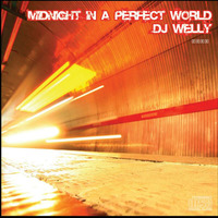 Midnight In a Perfect World by DJ Welly
