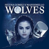 WOLVES- SELENA GOMEZ COVER by E.B.M.