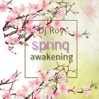 2019 Dj Roy Spring Awakening by dj roy belgium
