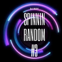 2019 Dj Roy Spinnin Random #3 by dj roy belgium